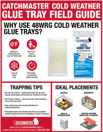 freezer rat glue board