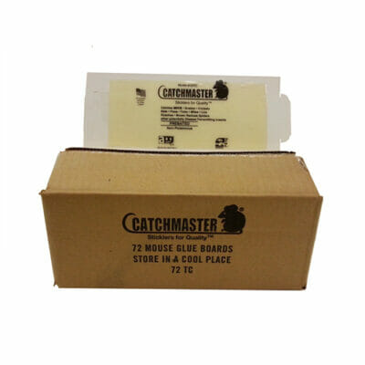 catchmaster mouse glue board 72 tc